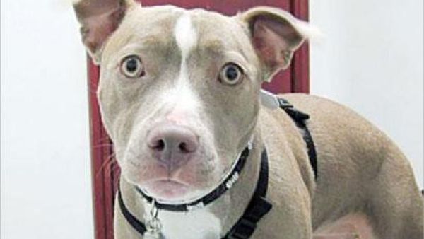 عيونه بتفضح جنسه