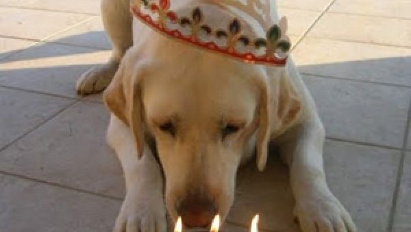 هابي بيرث دي تو يو