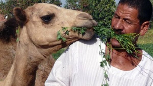 تعبيرية