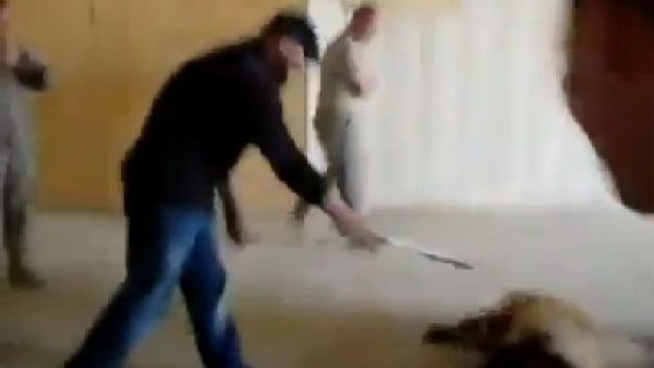 لقطة من الفيديو