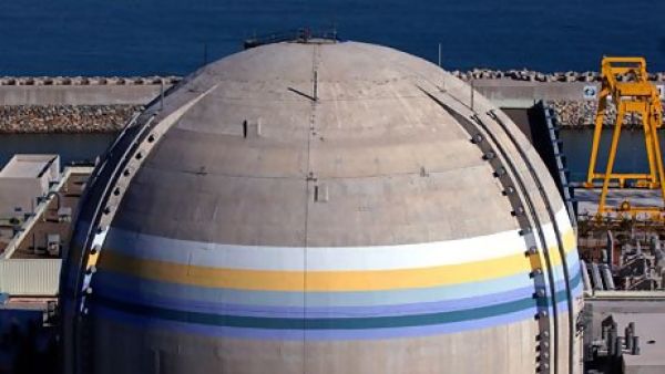 South Korean firms including Samsung, Hyundai and Doosan Heavy Industries will build the four 1,400-megawatt reactors