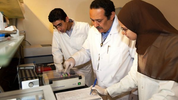 الدكتور حسن عزازي مع فريقه البحثي
