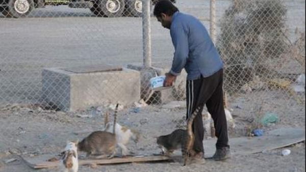 A scene from the short documentary "Feeding Five Hundred", which will compete in the Emirates Film Competition at this year's Abu Dhabi Film Festival. (Image courtesy of twofour54)