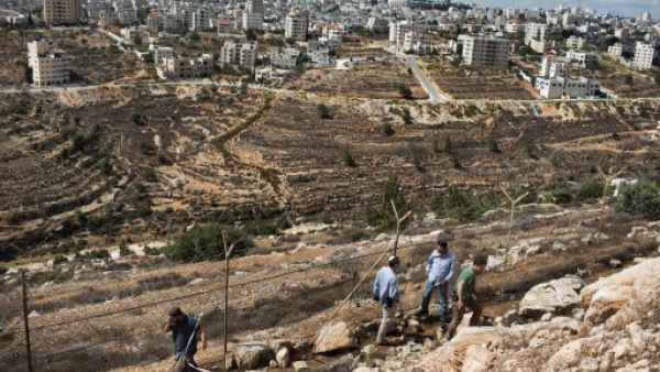 Armed Israeli settlers walk next to the fence between the Jewish settlement of Psagot and the Palestinian town of Al-Bireh (Back) on October 6, 2013 (AFP)