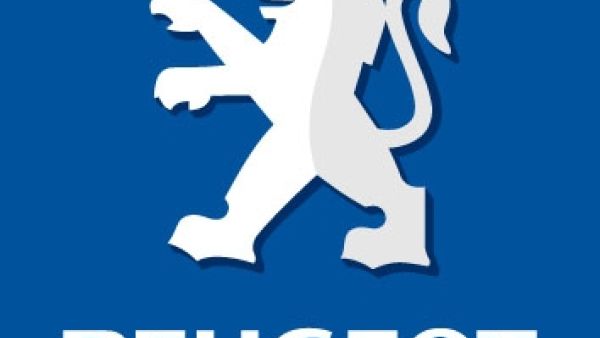 Iran was formerly Peugeot's second largest market by volume and one in four cars in the country carries the Lion brand.
