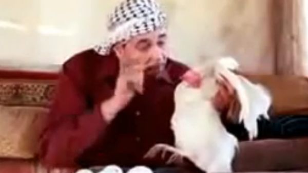 ابو 15 بيضة