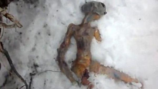 المخلوق الفضائي