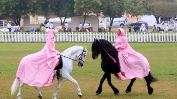 Hoofbeatz perform during the Pink Caravan campaign at the Sharjah Equestrian & Racing Club (Photo:  Zarina Fernandes/ Gulf News)
