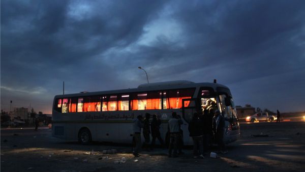 600 buses will be supplied by the United Arab Emirates to Egypt next February