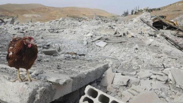 A lone chicken is seen in the rubble of the site where an Israeli airstrike struck Damascus earlier this month. AFP Image