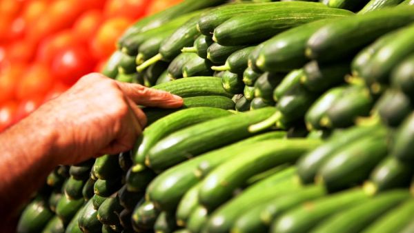 According to the Sheikh, men should handle vegetables such as cucumbers away from their women.