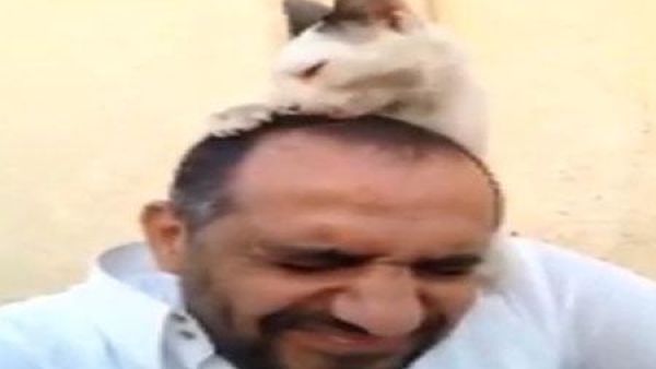 القطة وصاحبها