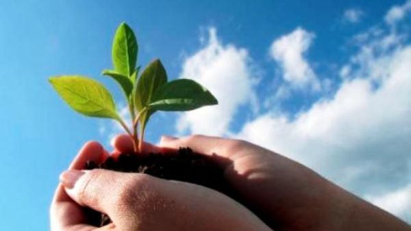 "Eye on Earth" presents a timely opportunity to identify practical measures to bridge the environmental knowledge gap