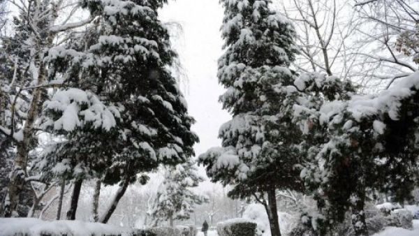 امراة تسير في حديقة غمرتها الثلوج في براتيسلافا 