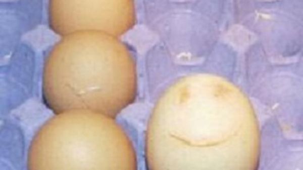 
\البيضة المبتسمة بعد ما "بزتها" الدجاجة هنرييت
