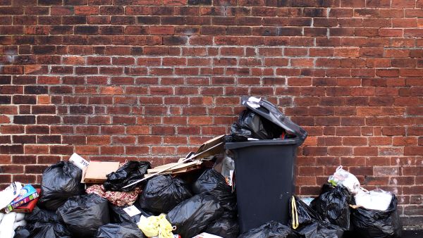 Garbage bin designs can be made to blend into their environment rather than conventional black, bright yellow
or orange plastic tips. Match your bin to your terrace or garden wall.