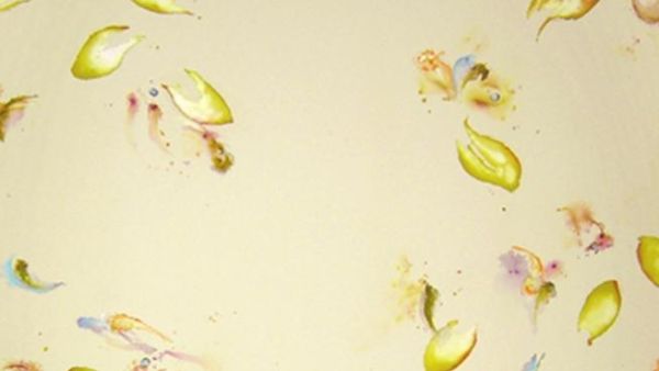 Srouji's paintings explore the relationship between light and colors