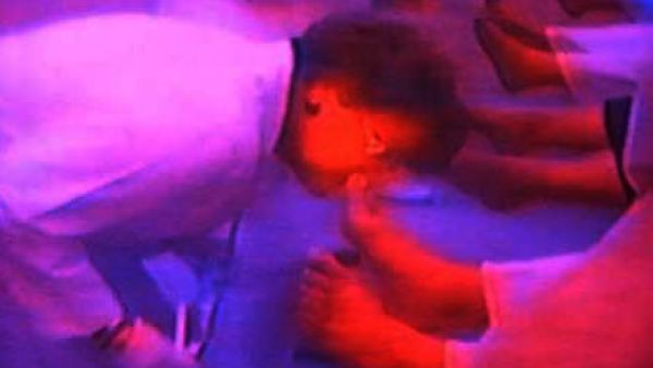 شم.. حبيبي شم