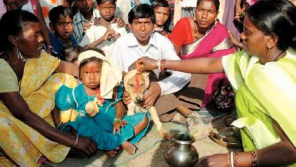 العروسة جنب العريس والجري للمتاعيس