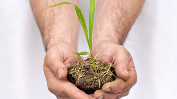 Financially successful people share common powerful habits. 
