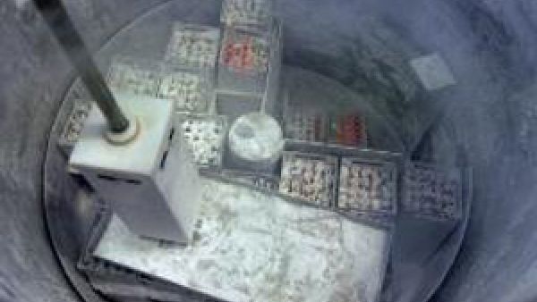 سوائل مغلبة