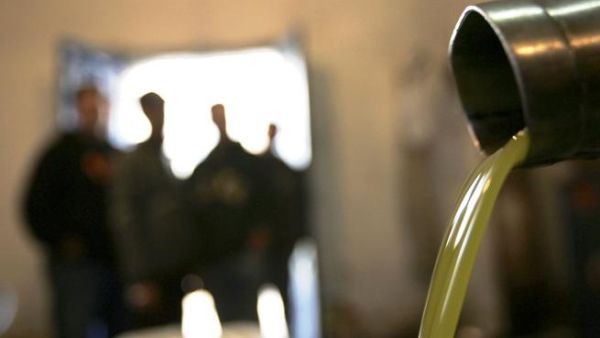 Israel-Palestine's oil dispute, where it's all about the olives (Arabic: Zeitoun).