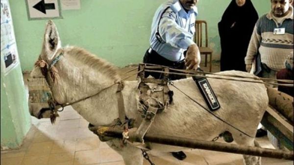 في العراق فقط