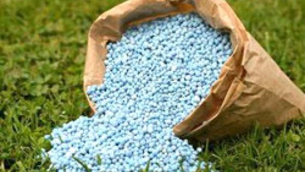 ان دعم ورعاية الصناعة المحلية يعتبر قضية وطنية بامتياز كون القطاع الصناعي هو الأقل تأثرا بتداعيات الأزمة المالية والاقتصادية العالمية