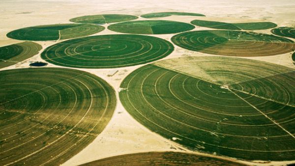 Saudi wheat precision farming