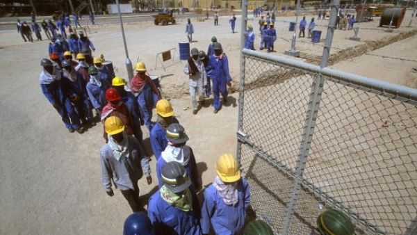 Nearly 15,000 illegal workers have been arrested in the Eastern Province after the raids.