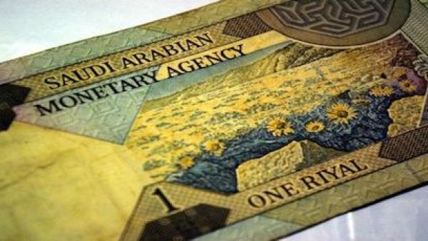 دخل الفرد السعودي يتأثر بالعديد من العوامل منها ما يتعلق بارتباط الريال بالدولار وتأثير صعوده أو هبوطه على الريال، بالإضافة إلى معدلات التضخم المرتفعة بالسوق المحلي والتي تسببت بالتهام دخول الأفراد