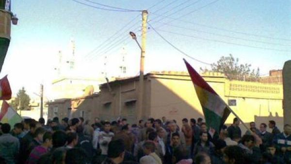متظاهرون في عامودا
