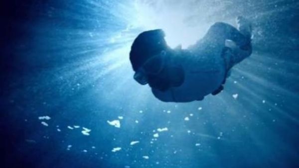 'The Turtle' was named Best HD movie of 2012