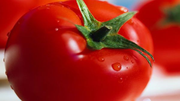 الوسيلة الاسرع للوصول الى الناخب 