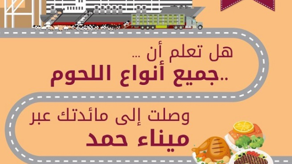 Qatar Ports shared a series of infographics debunking the perception that all imports pass through the Abu Samra land border with Saudi Arabia. (Twitter)