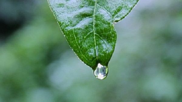 كحبة مطر.. هيك قصدنا