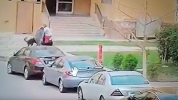 صورة ماخوذة من مقطع الفيدو 