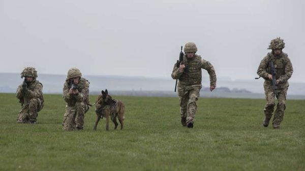 تم تأسيس جائزة ديكين من قبل جمعية "بي دي إس أيه" الخيرية للحيوانات