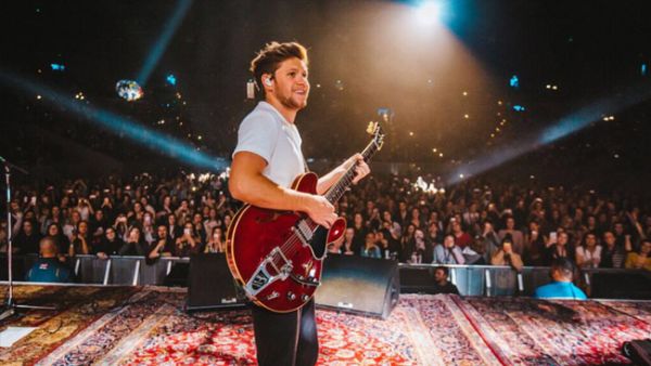 Niall Horan will take an extended break from the limelight  (Source: niallhoran / Instagram ) 