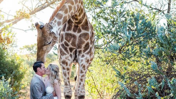 (Stephanie Norman Photography)