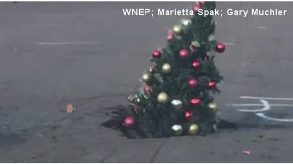 Christmas tree in pothole. (Screenshot)