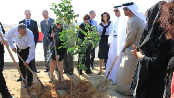 فاعلية الجميع يزرع، نحو بيئة أفضل فاعلية الجميع يزرع، نحو بيئة أفضل