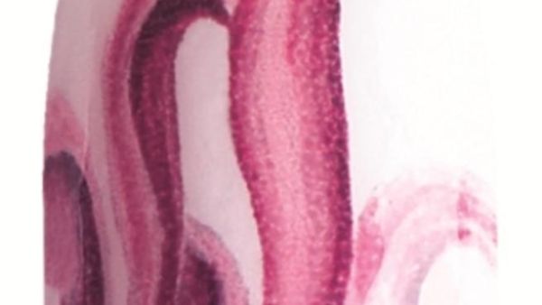 CND Shellac CND Shellac