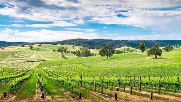 Cathay Pacific Gives You More - Adelaide Cathay Pacific Gives You More - Adelaide