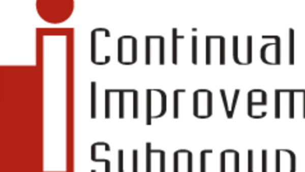 Continual Improvement Subgroup Continual Improvement Subgroup