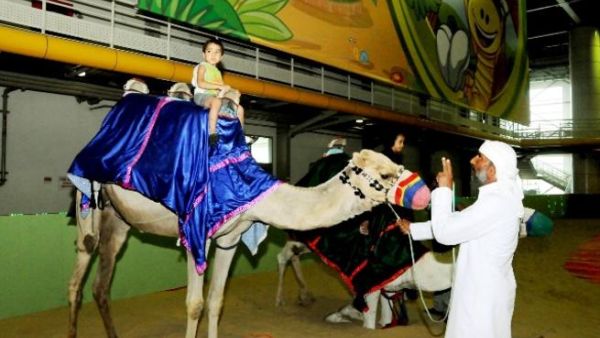 طفل يمتطي جمل في ركن الخيول والجمال في عالم مدهش