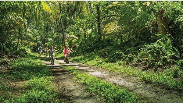  يقدّم مركز كاست اواي مساراً لركوب الدراجات يمتد على مسافة 15 كيلومتراً '9 أميال'.