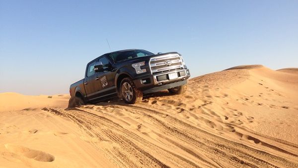 فورد F-150