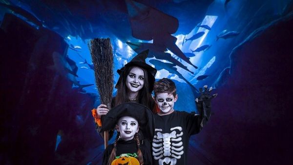 Emaar Entertainment is celebrating Halloween with fantastic activities and special offers.  