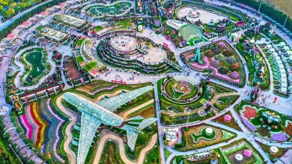 Dubai Miracle Garden, the world’s largest natural flower garden. Dubai Miracle Garden, the world’s largest natural flower garden.